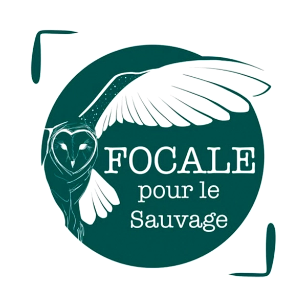 Logo de l'association Focale pour le sauvage