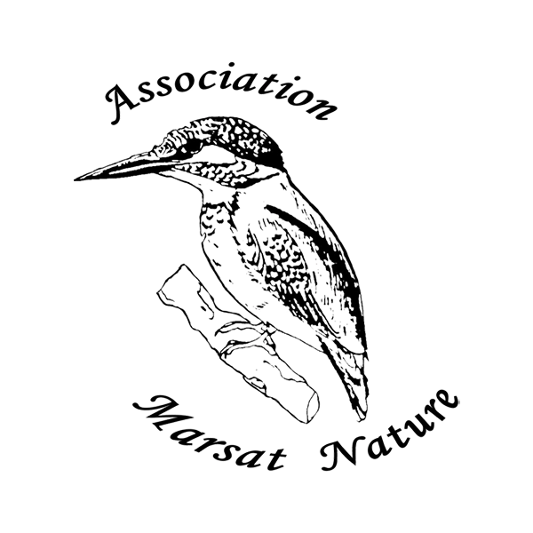 Logo de l'association Marsat Nature